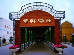 -紫轩葡萄酒庄园