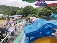 -泉州海丝野生动物世界