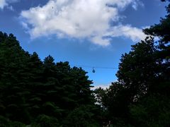 -苍山感通索道
