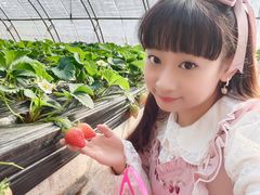 -甜心庄园·甜心草莓采摘园(西青中北店)