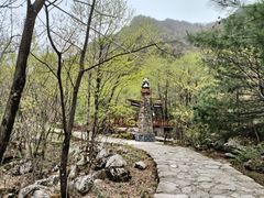 -青峰峡国家森林公园