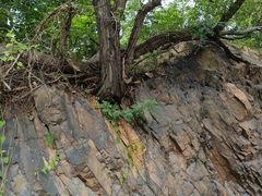 -青岛第三海水浴场