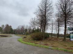 -宁波杭州湾国家湿地公园