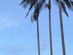 -流沙人民公园