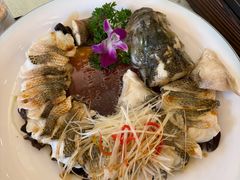 -博雅渔港·融合菜(维也纳国际大酒店)