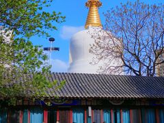 -护国法轮寺