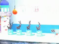 -蓬莱欧乐堡海洋极地世界