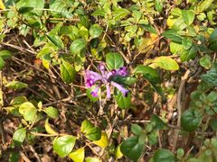 -白塘生态植物园