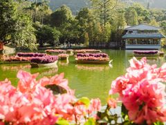-广州市白云山风景名胜区