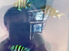 -北戴河圣蓝海洋公园