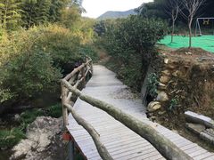 -宁波浙东大竹海景区