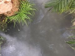 -南通洲际绿博园