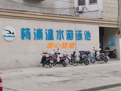 -杨浦温水游泳池