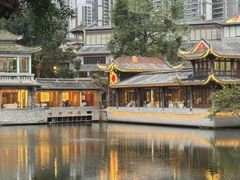 -荔湾湖公园