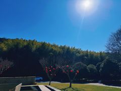 -苏州环秀晓筑养生度假村