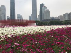 -海心沙亚运公园