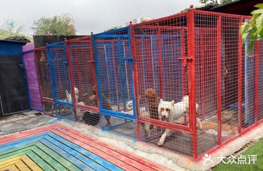 夏日溜娃，快来万达亲子动物乐园吧