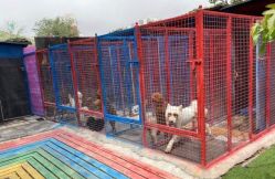 -萌宠亲子动物乐园(槐房万达店)