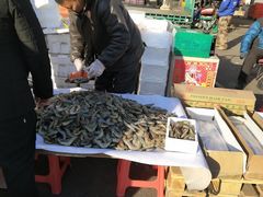 -沈阳水产批发市场
