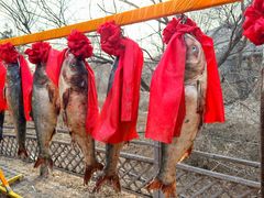 -爱新觉罗皇家博物院