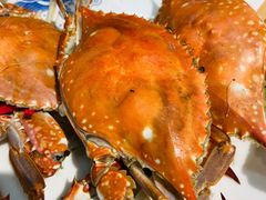 -北戴河庆山饭店·海鲜砂锅粥(北戴河黑石路店)