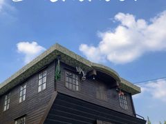 -金山农民画村-枫泾波兰倒置屋