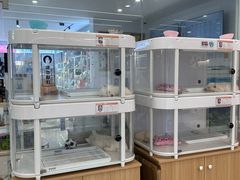 -翊宠yipet猫狗购宠庄园犬舍•猫舍