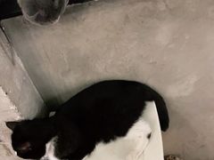 -么么咖啡(燕郊店)