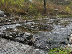 -白水寺森林公园