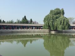 -东方巨龟苑景区