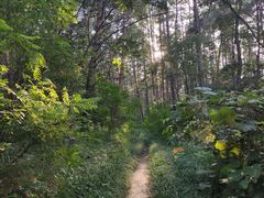 -帽儿山国家森林公园