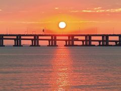 -宝安西湾红树林湿地公园