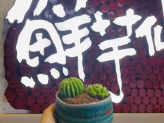 -鲜芋仙(国和店)