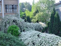 -四川大学(望江校区)