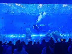-石家庄极地海洋世界