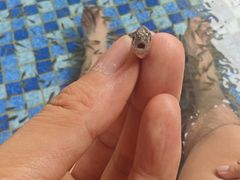 -温都水城·水梦奇缘