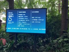 -成都市活水公园
