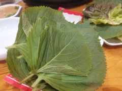 -三千里韩式炭火烤肉(南八马路店)