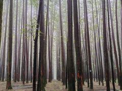 -山王坪喀斯特国家生态公园