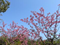 -新江湾城公园