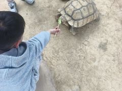 -杭州野生动物世界