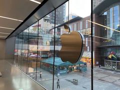 -Apple零售店(中街大悦城店)