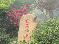 -梧桐山风景名胜区