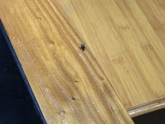 -川中故事·成都老火锅(东书房店)