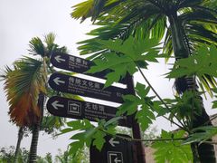 -海南槟榔谷黎苗文化旅游区