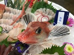-無鱼鳞比
