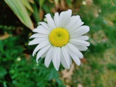 -云漫湖生态度假公园