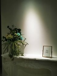 -爱维丽