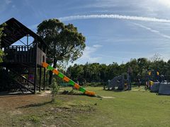 -上海长兴岛郊野公园