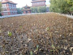 -大明幻境第一城